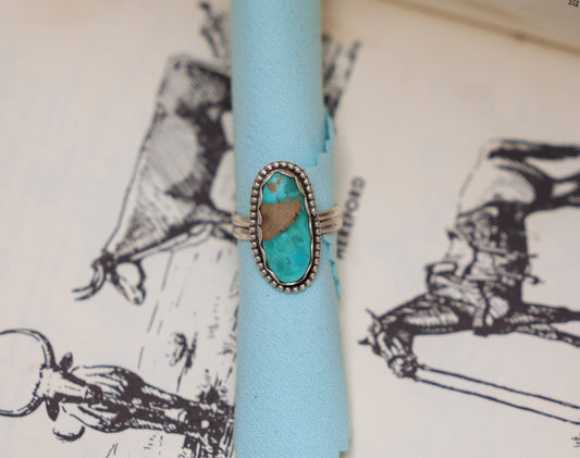 The Prairie Ring