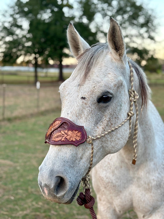 Brown Cayman nose and rope halter ￼